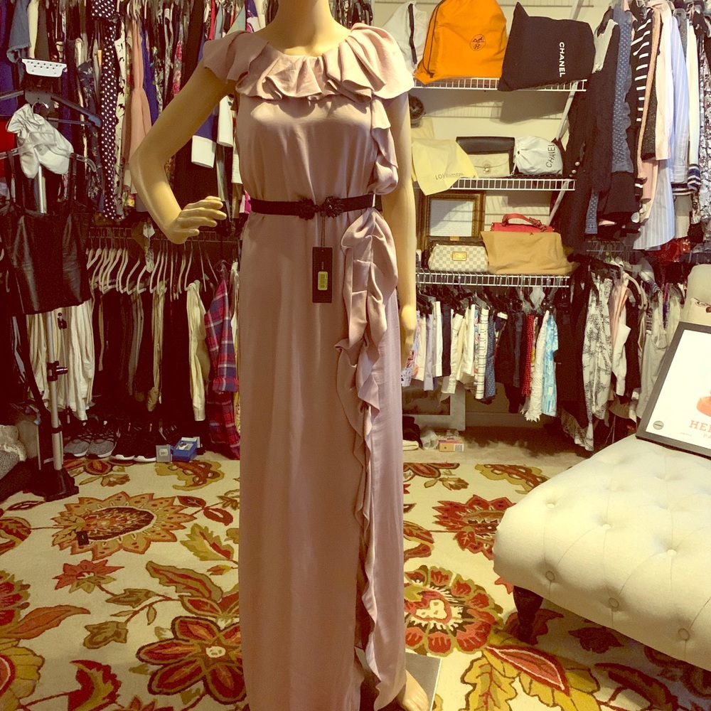BCBG Maxazria Long Dress